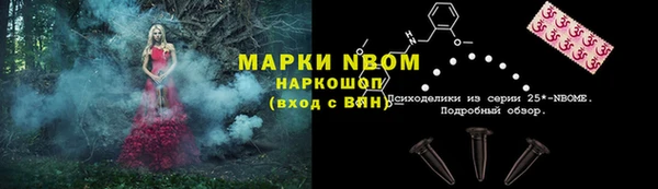 амф Осинники