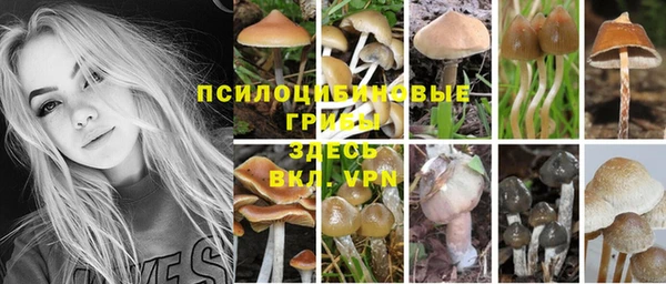 прущие крисы Переславль-Залесский