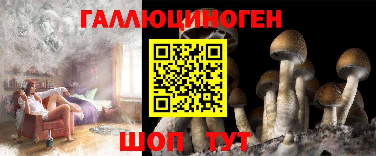 Псилоцибиновые грибы Cubensis  цена наркотик  Пушкино  Псилоцибиновые грибы MAGIC MUSHROOMS 