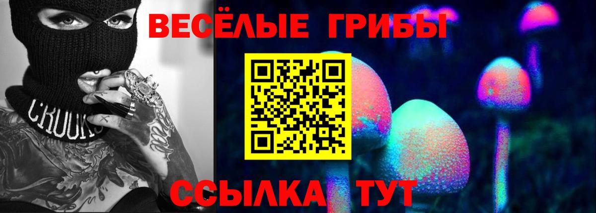 даркнет сайт  Псилоцибиновые грибы Cubensis  Галлюциногенные грибы мицелий  Вход с VPN  Пушкино 